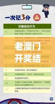 老澳门开奖结果2024开奖记录,灵活实施计划_MR85.222-2