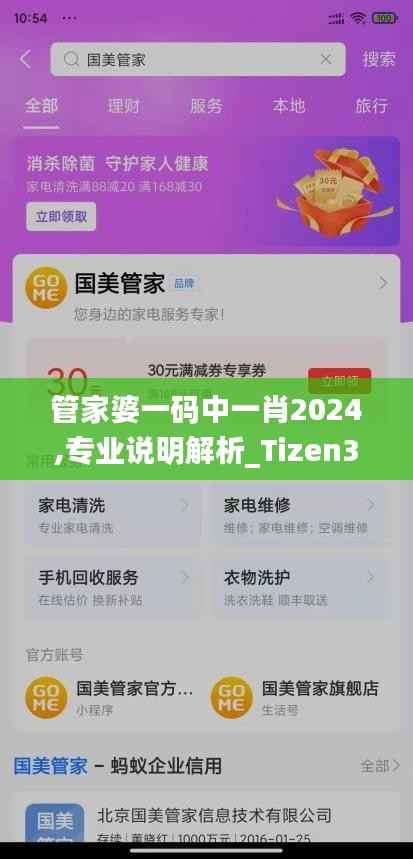 管家婆一码中一肖2024,专业说明解析_Tizen38.296-3