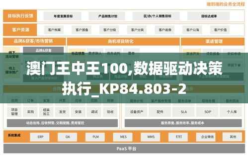 澳门王中王100,数据驱动决策执行_KP84.803-2