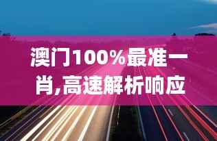 澳门100%最准一肖,高速解析响应方案_4K25.320-6