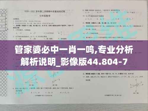 管家婆必中一肖一鸣,专业分析解析说明_影像版44.804-7