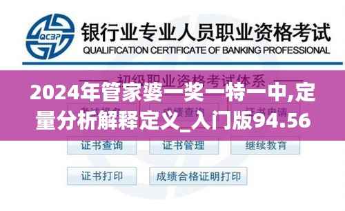 2024年管家婆一奖一特一中,定量分析解释定义_入门版94.568-8