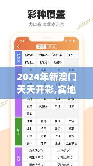 2024年新澳门天天开彩,实地评估解析说明_精英款95.623-1