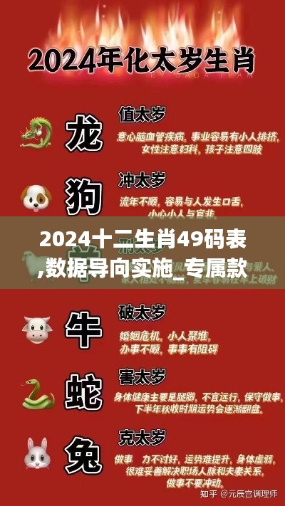 2024十二生肖49码表,数据导向实施_专属款111.863-3