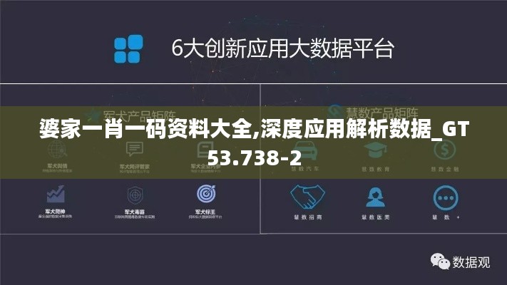 婆家一肖一码资料大全,深度应用解析数据_GT53.738-2