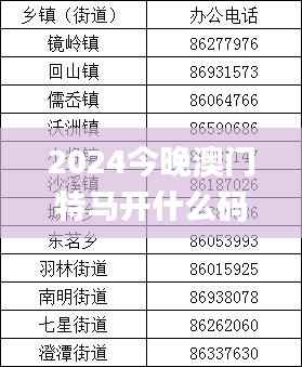 2024今晚澳门特马开什么码,高速响应执行计划_探索版8.295-7