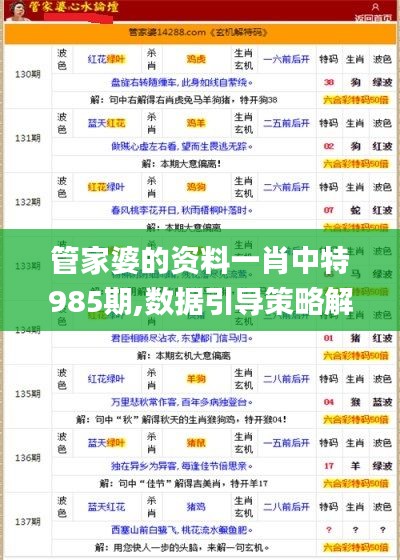 管家婆的资料一肖中特985期,数据引导策略解析_战斗版48.923-6