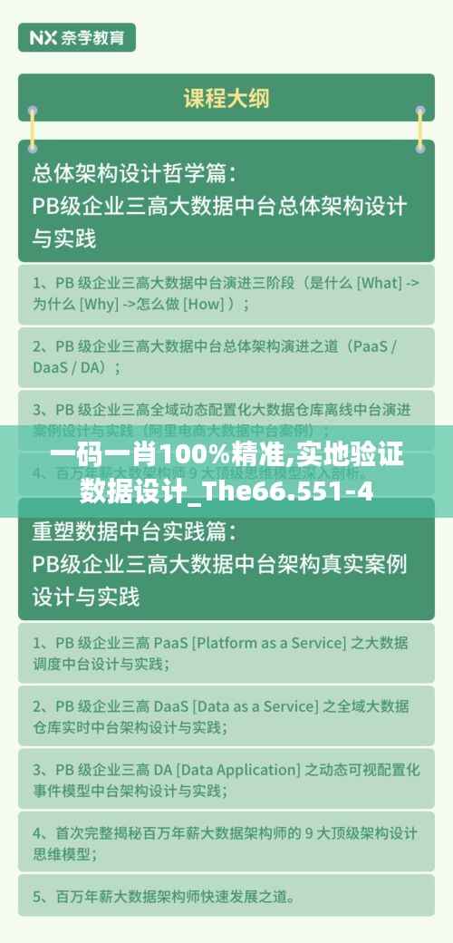 一码一肖100%精准,实地验证数据设计_The66.551-4