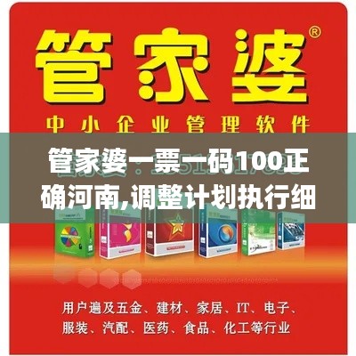 管家婆一票一码100正确河南,调整计划执行细节_限量版46.733-5