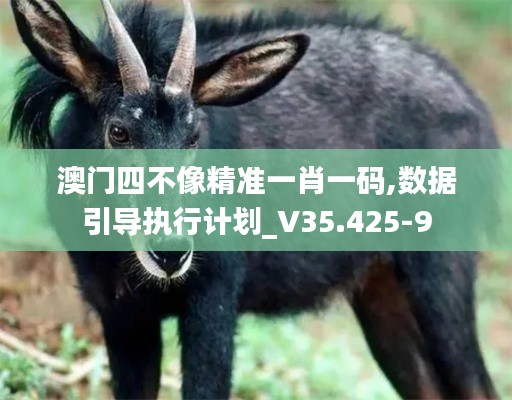 澳门四不像精准一肖一码,数据引导执行计划_V35.425-9