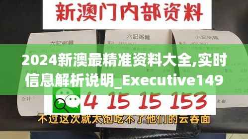 2024新澳最精准资料大全,实时信息解析说明_Executive149.493-1