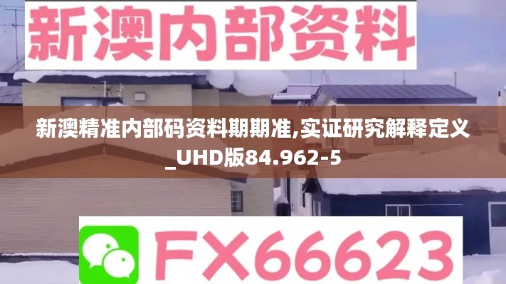 新澳精准内部码资料期期准,实证研究解释定义_UHD版84.962-5