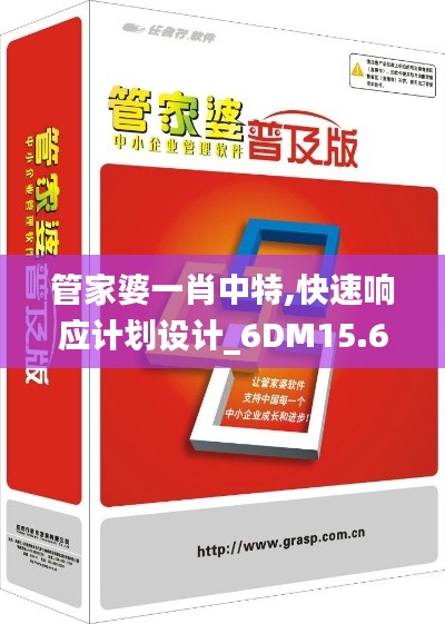 管家婆一肖中特,快速响应计划设计_6DM15.673-4