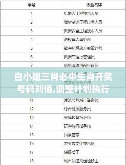 白小姐三肖必中生肖开奖号码刘佰,调整计划执行细节_专家版84.714-4