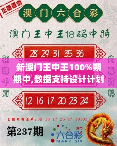 新澳门王中王100%期期中,数据支持设计计划_顶级版60.388-4