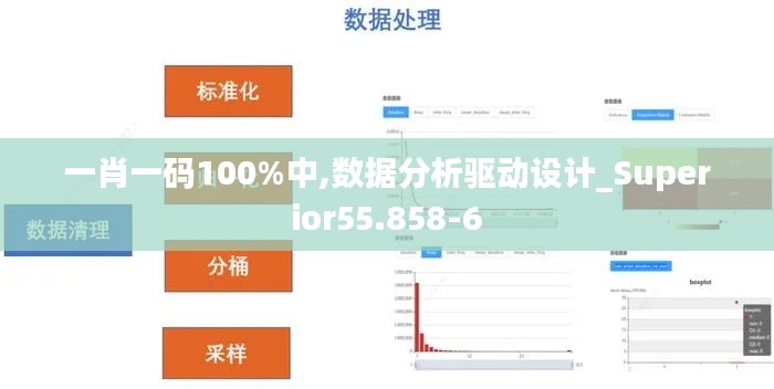 一肖一码100%中,数据分析驱动设计_Superior55.858-6