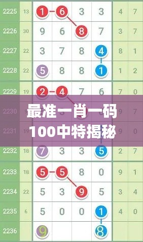 最准一肖一码100中特揭秘,精细执行计划_8K58.158-9