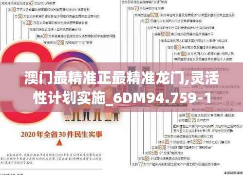 澳门最精准正最精准龙门,灵活性计划实施_6DM94.759-1