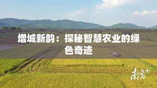 增城新韵：探秘智慧农业的绿色奇迹