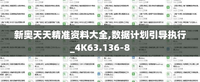 新奥天天精准资料大全,数据计划引导执行_4K63.136-8