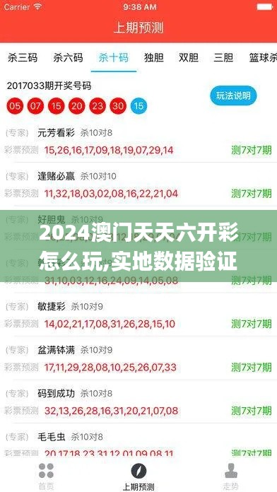 2024澳门天天六开彩怎么玩,实地数据验证计划_精简版93.847-2