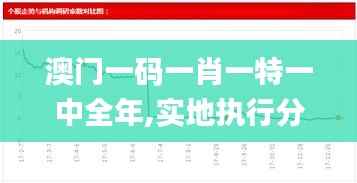 澳门一码一肖一特一中全年,实地执行分析数据_钻石版85.382-1