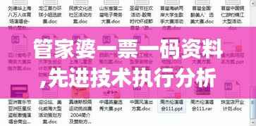 管家婆一票一码资料,先进技术执行分析_Executive157.944-3