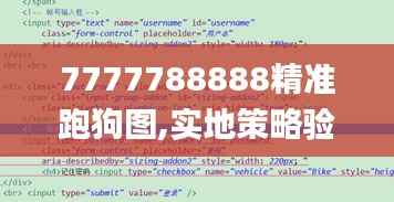 7777788888精准跑狗图,实地策略验证计划_专业款45.352-8