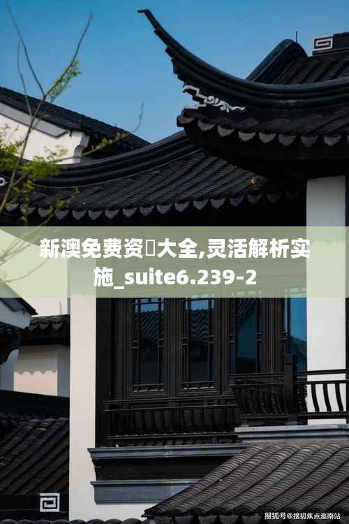 新澳免费资枓大全,灵活解析实施_suite6.239-2
