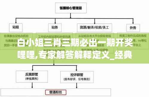 白小姐三肖三期必出一期开奖哩哩,专家解答解释定义_经典款46.304-8