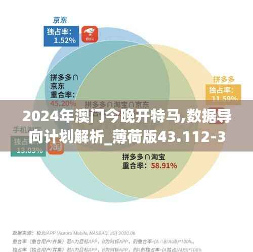 2024年澳门今晚开特马,数据导向计划解析_薄荷版43.112-3