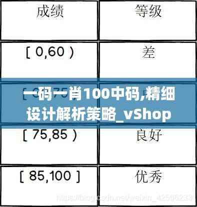 一码一肖100中码,精细设计解析策略_vShop30.721-6