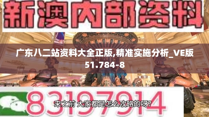 广东八二站资料大全正版,精准实施分析_VE版51.784-8
