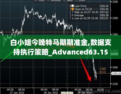 白小姐今晚特马期期准金,数据支持执行策略_Advanced63.159-6