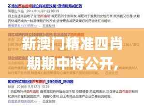 新澳门精准四肖期期中特公开,高速响应方案设计_网红版36.251-8