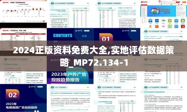 2024正版资料免费大全,实地评估数据策略_MP72.134-1
