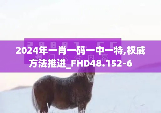 2024年一肖一码一中一特,权威方法推进_FHD48.152-6