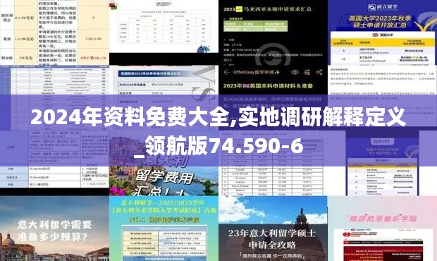 2024年资料免费大全,实地调研解释定义_领航版74.590-6