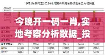今晚开一码一肖,实地考察分析数据_投资版30.289-8