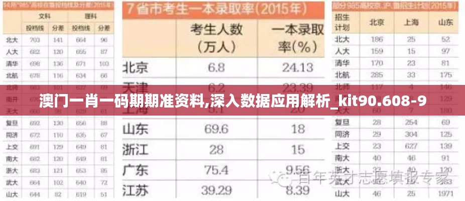 澳门一肖一码期期准资料,深入数据应用解析_kit90.608-9