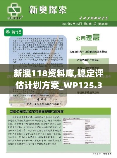 新澳118资料库,稳定评估计划方案_WP125.383-5