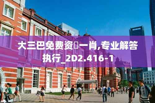 大三巴免费资枓一肖,专业解答执行_2D2.416-1