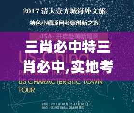 三肖必中特三肖必中,实地考察数据解析_RemixOS62.334-4