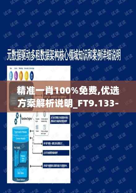 精准一肖100%免费,优选方案解析说明_FT9.133-5