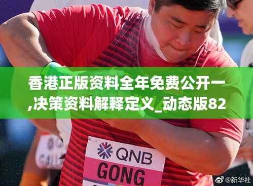 香港正版资料全年免费公开一,决策资料解释定义_动态版82.197-6