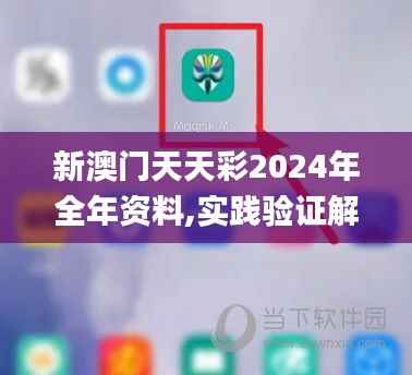 新澳门天天彩2024年全年资料,实践验证解释定义_苹果款192.196-7