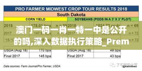 澳门一码一肖一特一中是公开的吗,深入数据执行策略_Premium85.816-7