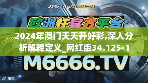 2024年澳门天天开好彩,深入分析解释定义_网红版34.125-1
