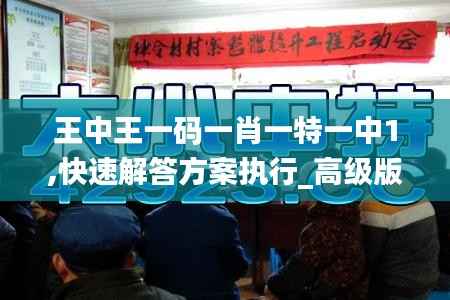 王中王一码一肖一特一中1,快速解答方案执行_高级版28.851-9