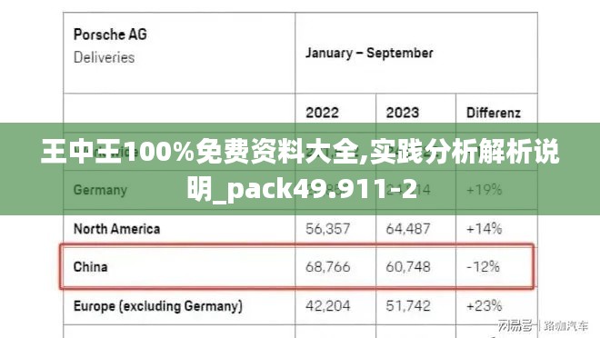 王中王100%免费资料大全,实践分析解析说明_pack49.911-2